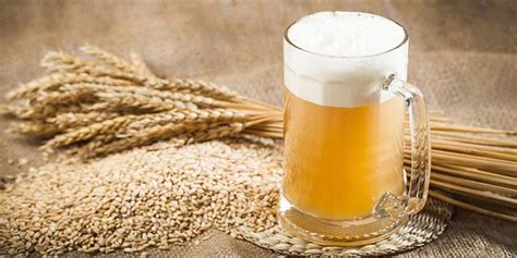 wheat beer vs malt beer.